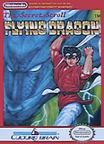 Flying Dragon: The Secret Scroll (Nintendo Entertainment System)